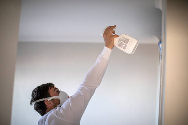 Best Mold Damage Repair  in Haviland, NY