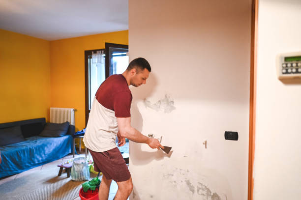 Best Commercial Mold Removal  in Haviland, NY